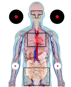 Anatomical Target